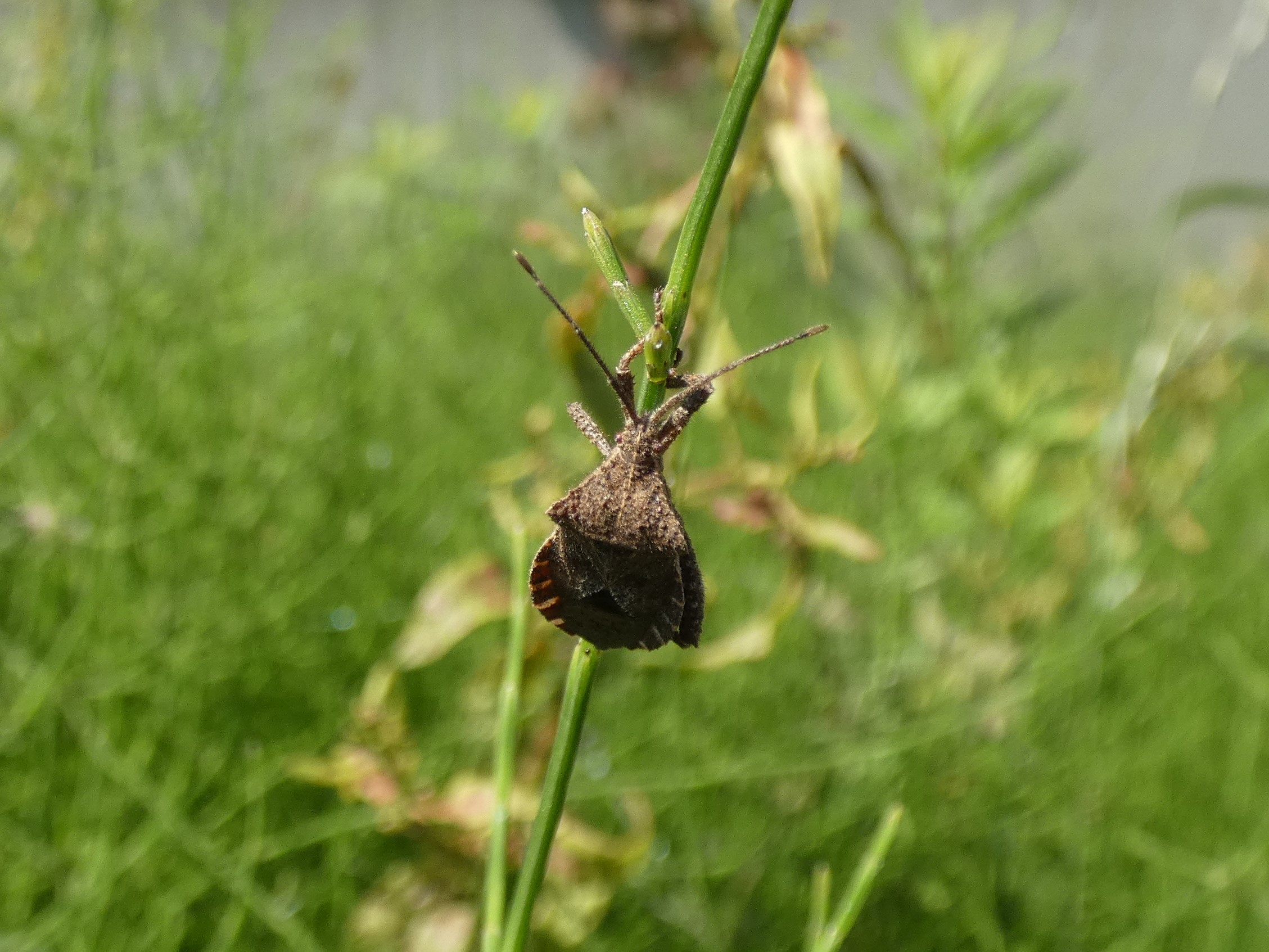 photo_1